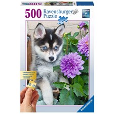 Putziger Husky