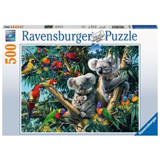 Koalas im Baum