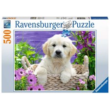 Süsser Golden Retriever