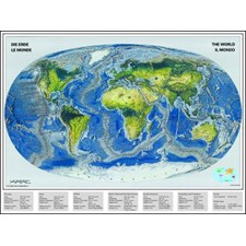 Weltkarte Meeresboden
