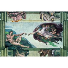 Michelangelo: Die Erschaffung