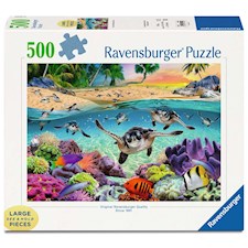 Race of the Baby Sea Turtle