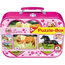 Set Puzzle-Box im Metallkoffer