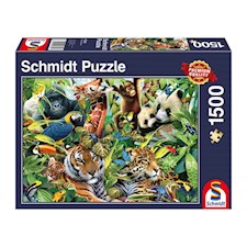 Kunterbunte Tierwelt