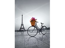 Romantic Promenade In Paris