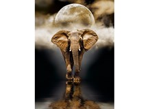 Elefant