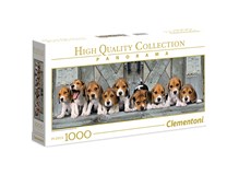 Panorama Hunde Beagles