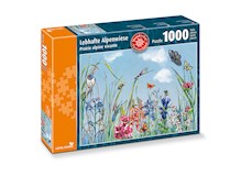 Lebhafte Alpenwiese
