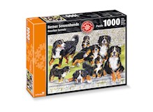 Berner Sennenhunde