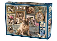 Französische Bulldogge