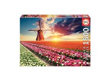Tulpen Landschaft 
