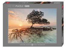 Red Mangrove