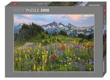 Tatoosh Mountains