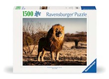 Der Löwe. Der König der Tiere