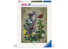 Lebenskreis eines Schmetterlings