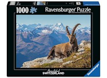 Steinbock im Toggenburg    