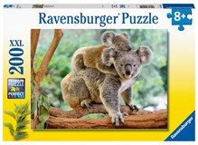 Koalafamilie