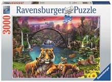 Tiger in paradies.Lagune