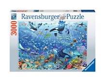 Bunter Unterwasserspass